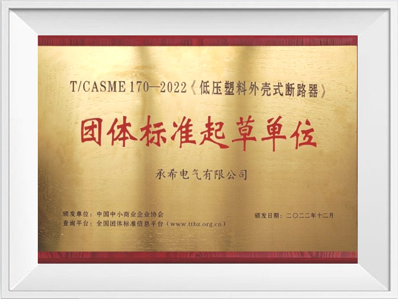 Group standard drafting unit